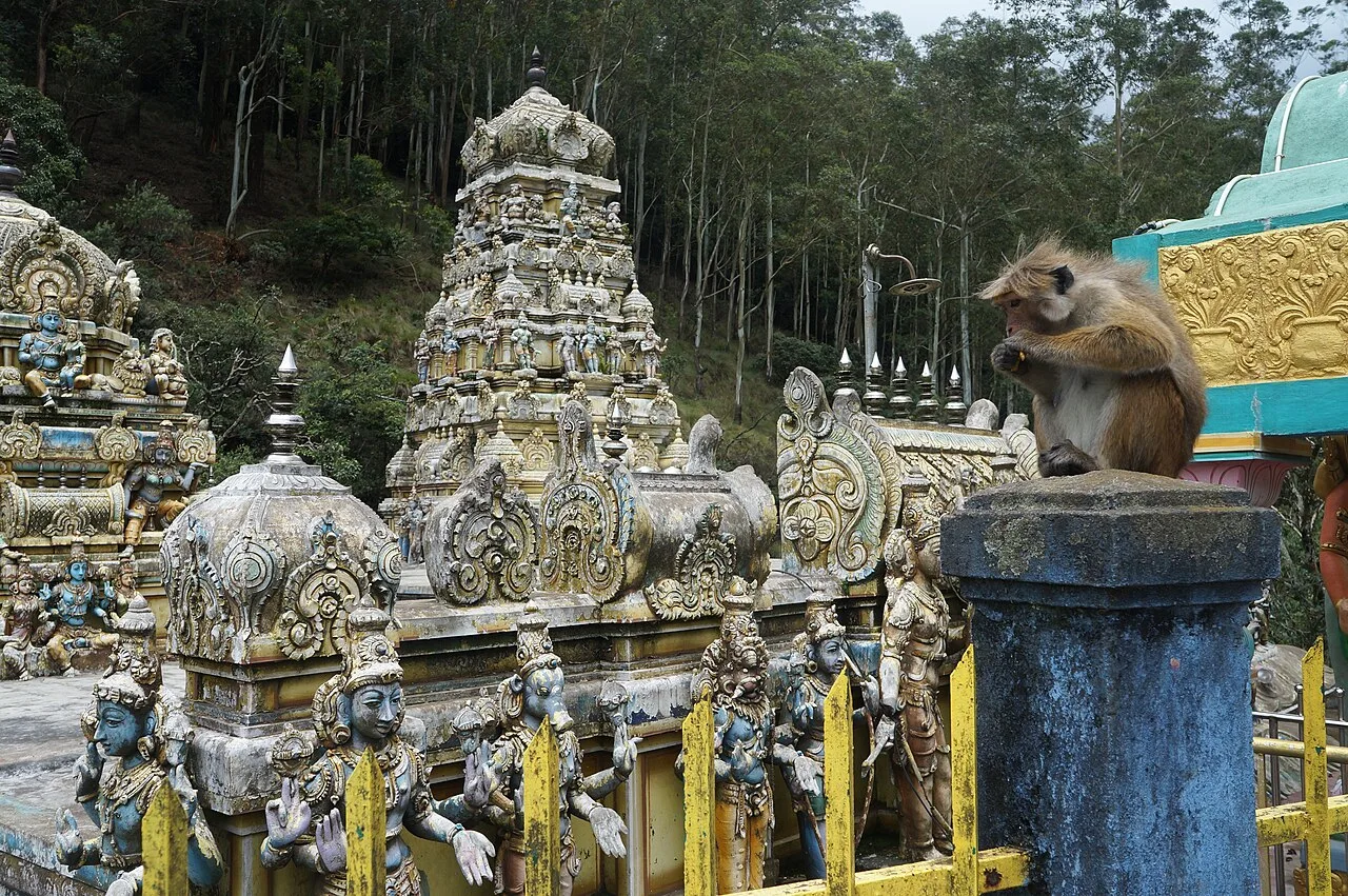 Bandarawela - Temple indou Murugan Kovil, Bandarawela Badulla District Province du Sud - Sri Lanka