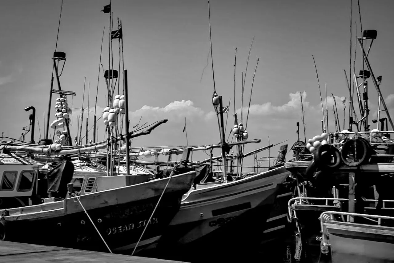 Mirissa - Mirissa Fisheries Harbor