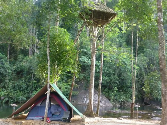 Sinharaja Forest Reserve - Adventure resort of Sinharaja Rainforest.Sinharaja Forest Reserve is a forest reserve and a biodiversity hotspot in Sri Lanka. It is of international 