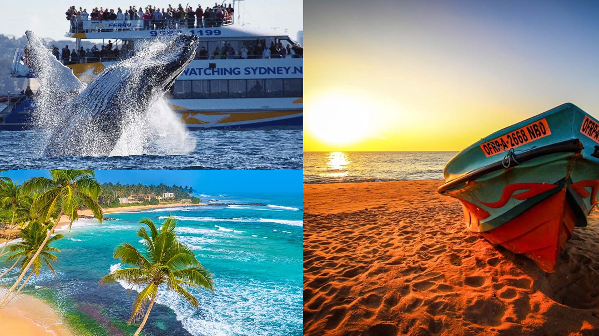 12 DAYS SRI LANKA VACATION TOUR
