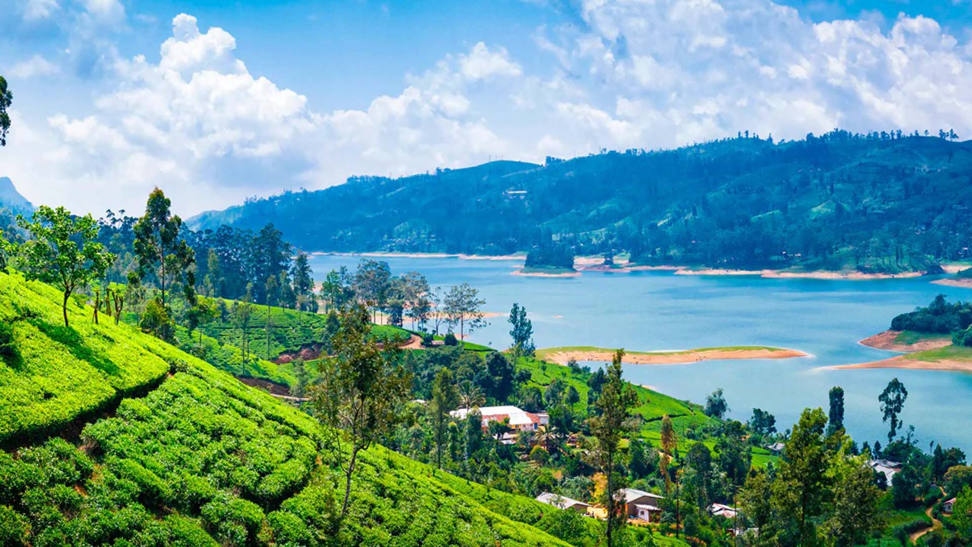 12 DAYS SRI LANKA VACATION TOUR